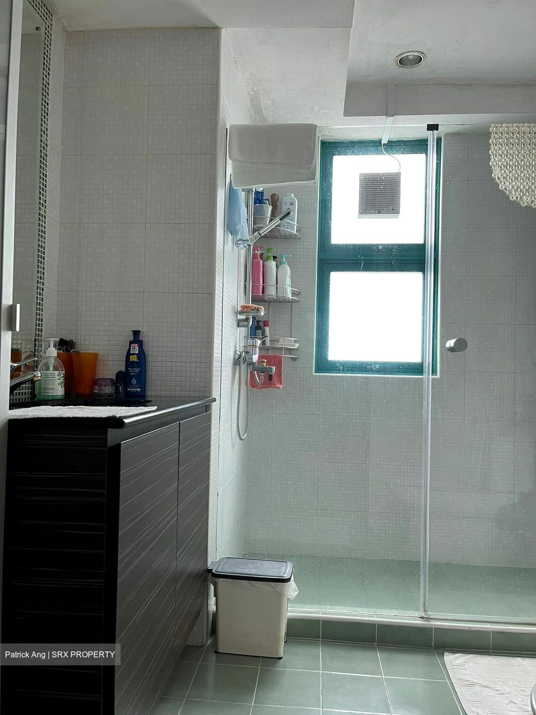 Celadon View (D17), Apartment #456791361